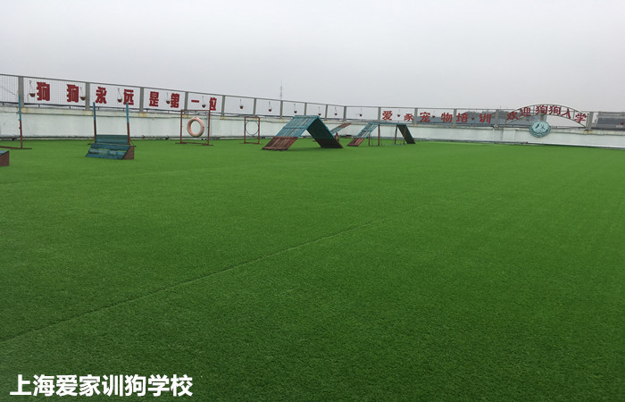 爱家训狗学校.jpg 爱家训狗学校.jpg