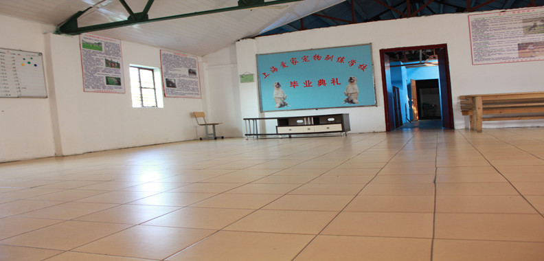 上海爱家训犬学校,爱家训犬.jpg 上海爱家训犬学校,爱家训犬.jpg