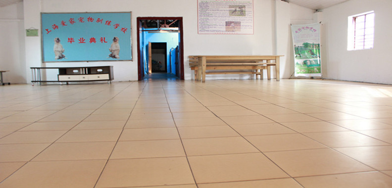 上海训犬学校,上海爱家训犬.jpg 上海训犬学校,上海爱家训犬.jpg