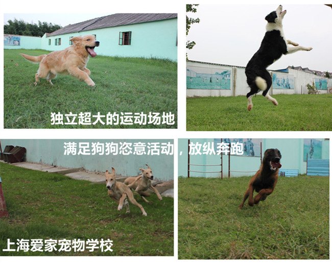 爱家超大运动场2_副本.jpg 爱家超大运动场2_副本.jpg