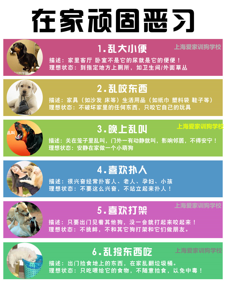 狗狗课程内容.jpg 狗狗课程内容.jpg